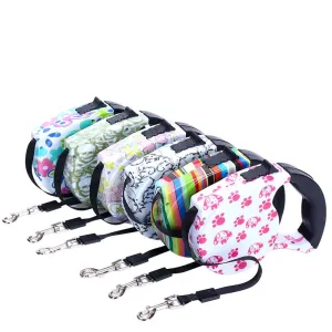 Colourful Retractable Leash