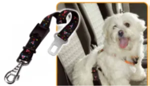 DOG SAFETY