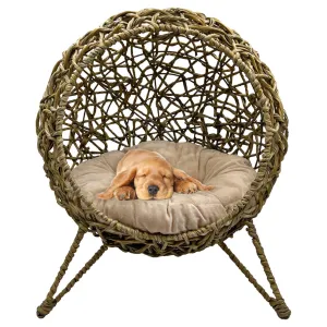 Elevated Weaved Cat Bed with Cushion