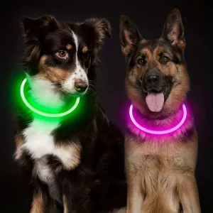 LED Light Dog Collar – Rechargeable & Adjustable for Safety