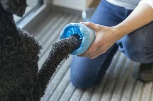 Paw Cleaner