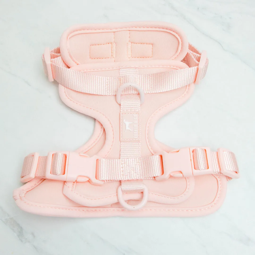 QA Sale - Solace Adjustable Dog Harness