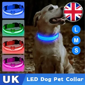 USB Rechargeable Collar USB Rechargeable LED Pet Dog Collar Flashing Luminous Safety Light up Nylon UK
